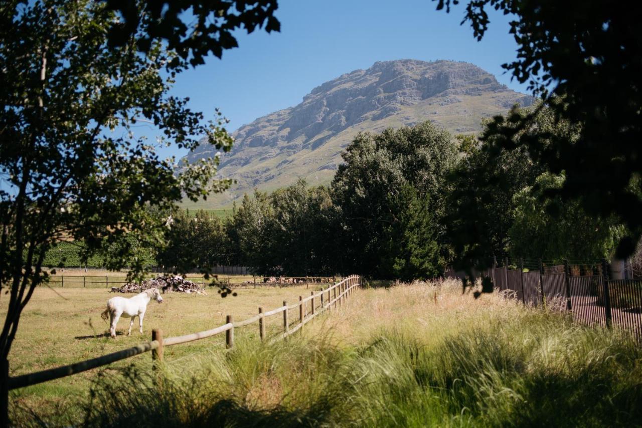 Simonzicht Guest House Stellenbosch Kültér fotó