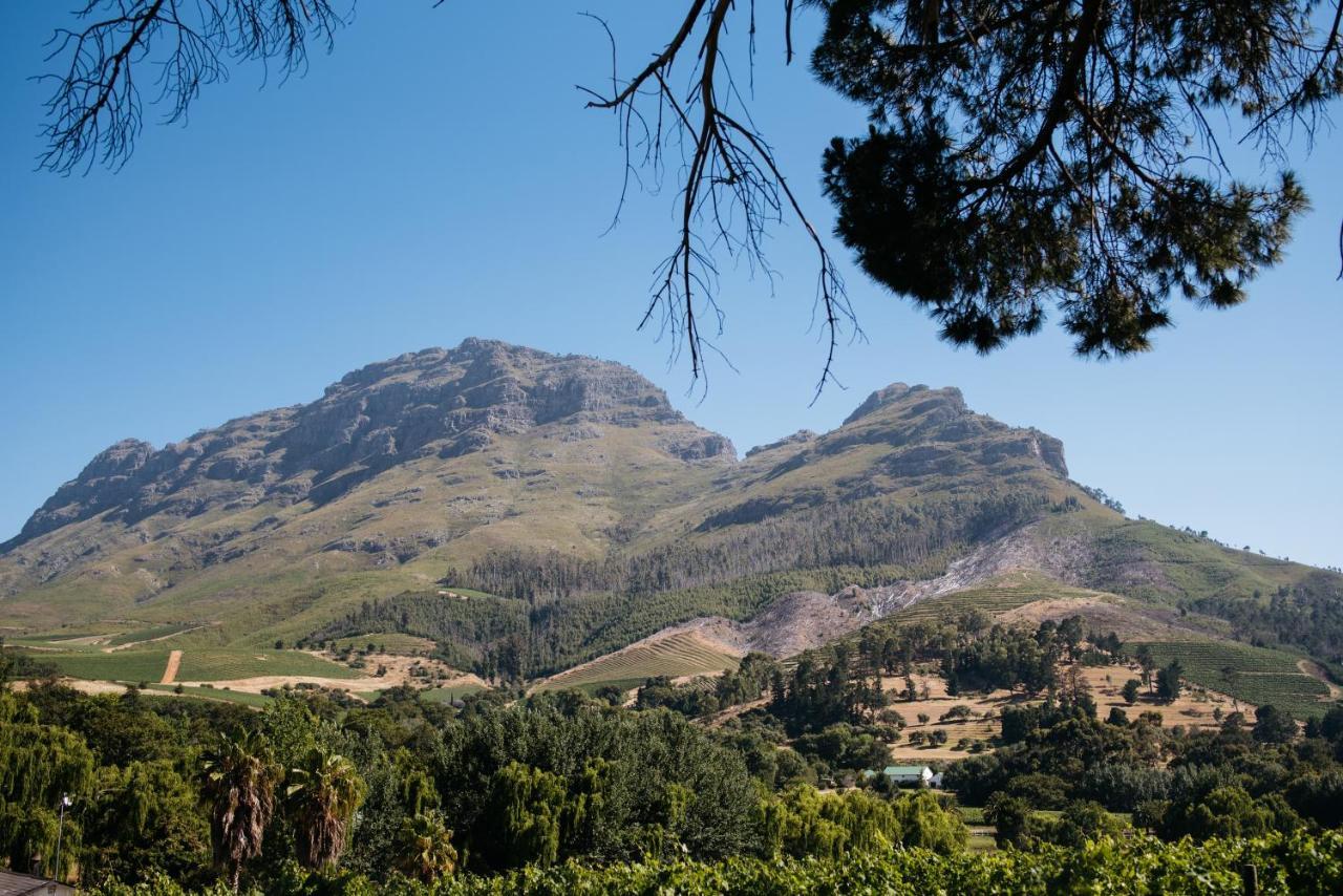 Simonzicht Guest House Stellenbosch Kültér fotó